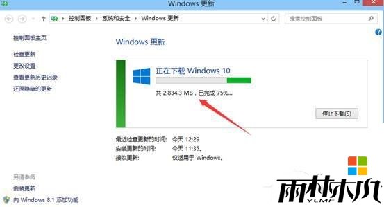 win8.1win101