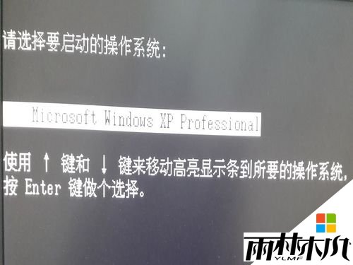 <a href='http://www.msdnghost.com/xp/' target='_blank'><u>win xp</u></a>Ӧó޷ô2