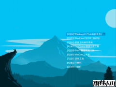 CowPEѴUϵͳ v1.2.5