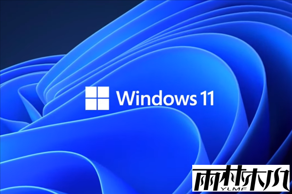 Win11װºѭ΢͸޸