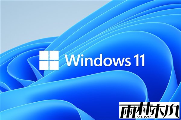 ӰWin10/11ϵͳWindowsس©