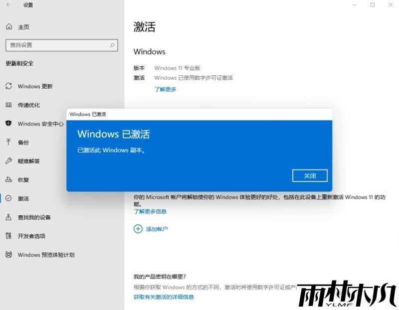 Win11_Win11רҵ漤Կ KEY